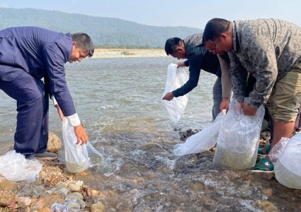 मकवानपुरको बागमती नदीमा १ लाख माछाका भुरा छाडियो