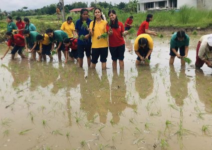 हेटौंडाको सिद्धार्थ शिशु सदनका विद्यार्थीले गरे ‘धान रोपाइँ’